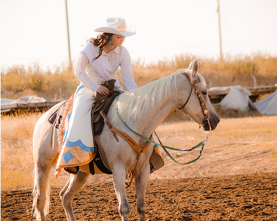 Rodeo 211