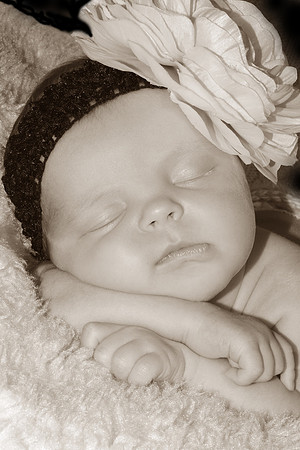 @AWP_4776-Sepia
